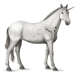 riding unicorn knabstrupper chestnut few spots