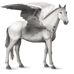 riding pegasus paint horse cherry bay overo