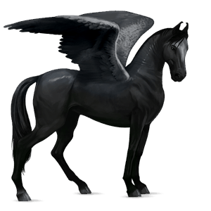 riding pegasus hanoverian dapple grey
