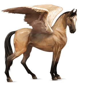 riding pegasus french trotter black