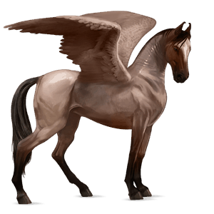 riding pegasus akhal-teke strawberry roan
