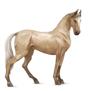 riding horse thoroughbred palomino