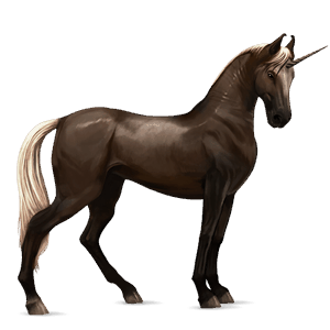 riding unicorn marwari liver chestnut