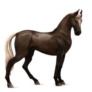 riding horse bay