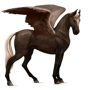 riding pegasus akhal-teke flaxen liver chestnut 