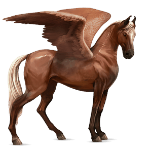 riding pegasus akhal-teke flaxen chestnut 
