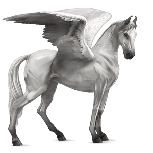riding pegasus purebred spanish horse light grey
