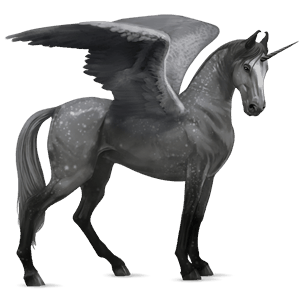 winged riding unicorn marwari cherry bay