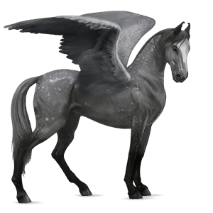 riding pegasus purebred spanish horse dapple grey