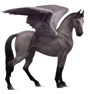 riding pegasus friesian black