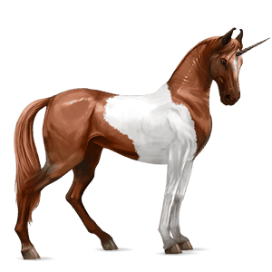 riding unicorn paint horse cherry bay tobiano
