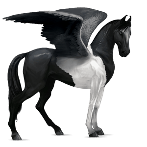 riding pegasus quarter horse cherry bay