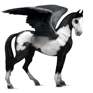 riding pegasus akhal-teke light grey
