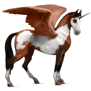 winged riding unicorn paint horse dark bay overo
