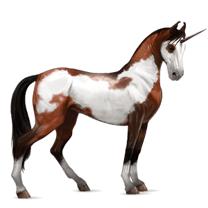 riding unicorn purebred spanish horse light grey