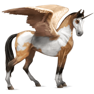 winged riding unicorn paint horse dun overo