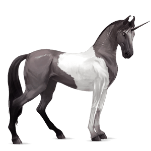 riding unicorn paint horse chestnut overo