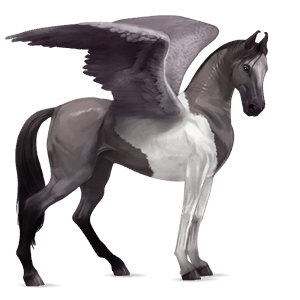 riding pegasus paint horse dapple grey tobiano