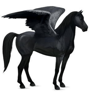 riding pegasus mustang black