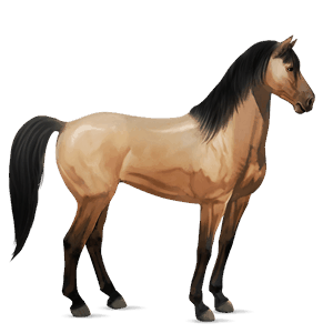 riding horse hanoverian chestnut