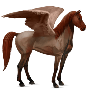 riding pegasus arabian horse dapple grey