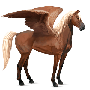 riding pegasus palomino