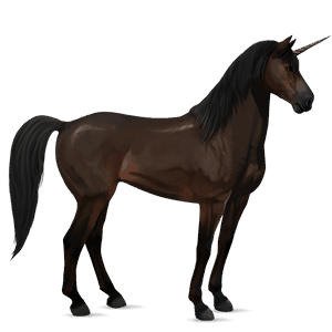 riding unicorn black