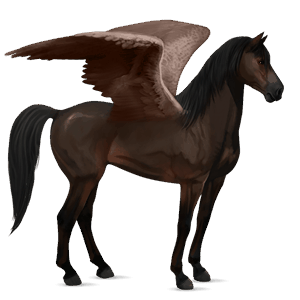 riding pegasus mustang dark bay