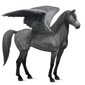 riding pegasus quarter horse dapple grey