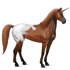 riding unicorn dark bay tobiano