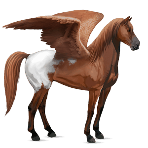 riding pegasus quarter horse chestnut