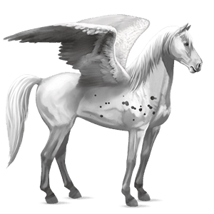 riding pegasus hanoverian light grey