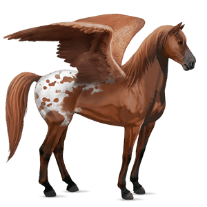 riding pegasus nokota chestnut overo