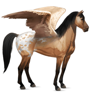 riding pegasus quarter horse dapple grey