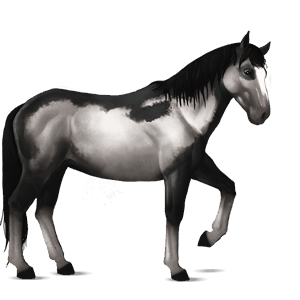 riding horse chestnut