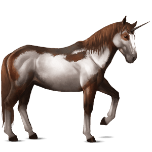 riding unicorn bay overo