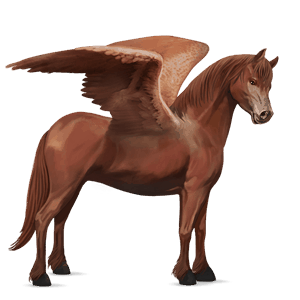 pegasus pony belgian riding pony chestnut