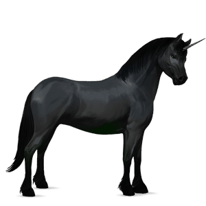 unicorn pony connemara strawberry roan