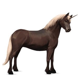 unicorn pony connemara dark bay