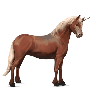 unicorn pony belgian riding pony flaxen chestnut 