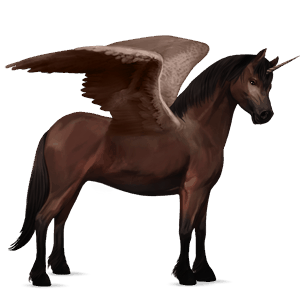 winged unicorn pony  shetland dark bay