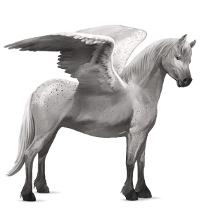 pegasus pony dark bay