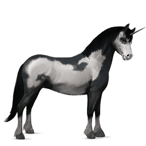 unicorn pony kerry bog black tobiano