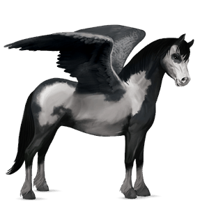 pegasus pony fjord gulblakk