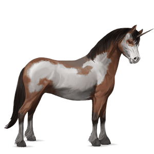 unicorn pony dapple grey