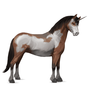 unicorn pony connemara dapple grey