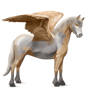 pegasus pony kerry bog dun tobiano