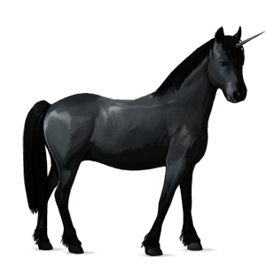 riding unicorn misaki black