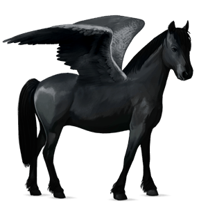 pegasus pony kerry bog black