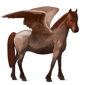 pegasus pony newfoundland pony liver chestnut